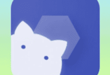 Shizuku不用电脑adb配对直接一个手机搞定方法-iQSOO