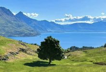 通用照片调整参数(基础优化版)-iQSOO