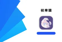 祯率猫 40.48 高级版-iQSOO